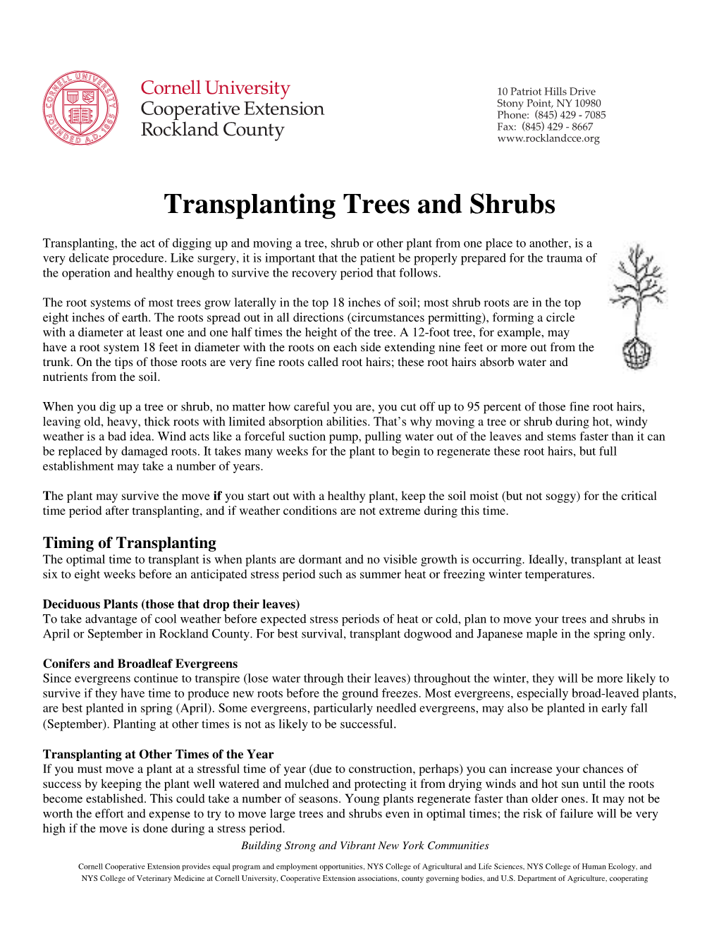 Transplanting Trees and Shrubs