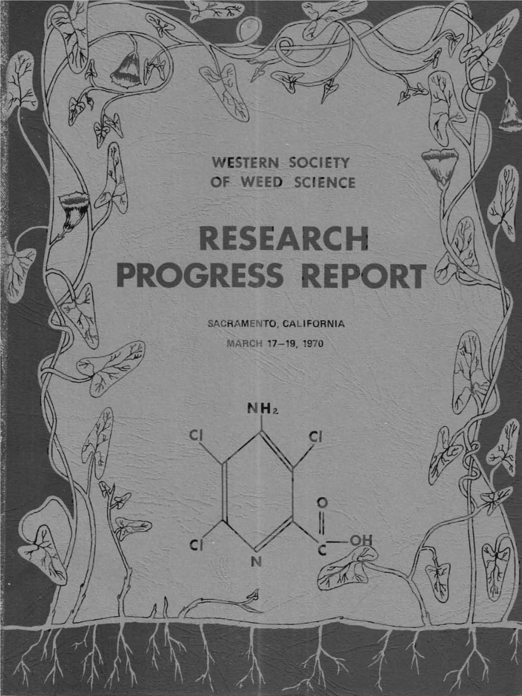 1970 Annual Progress Report of the Research Committee