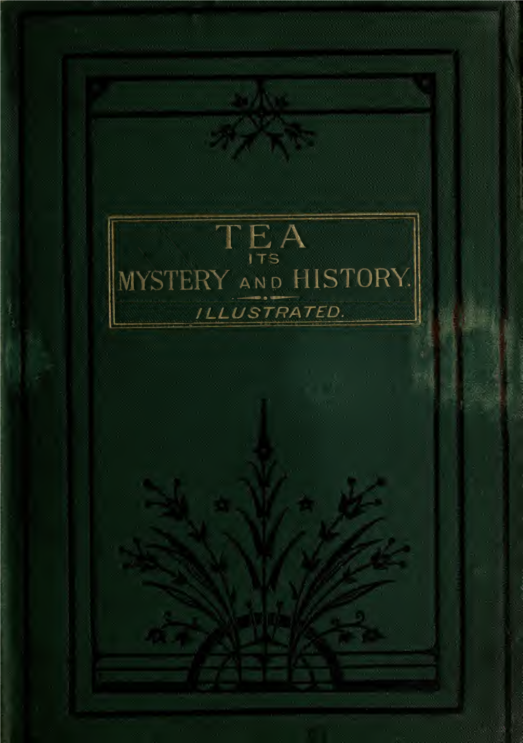 Tea, Its Mystery and History