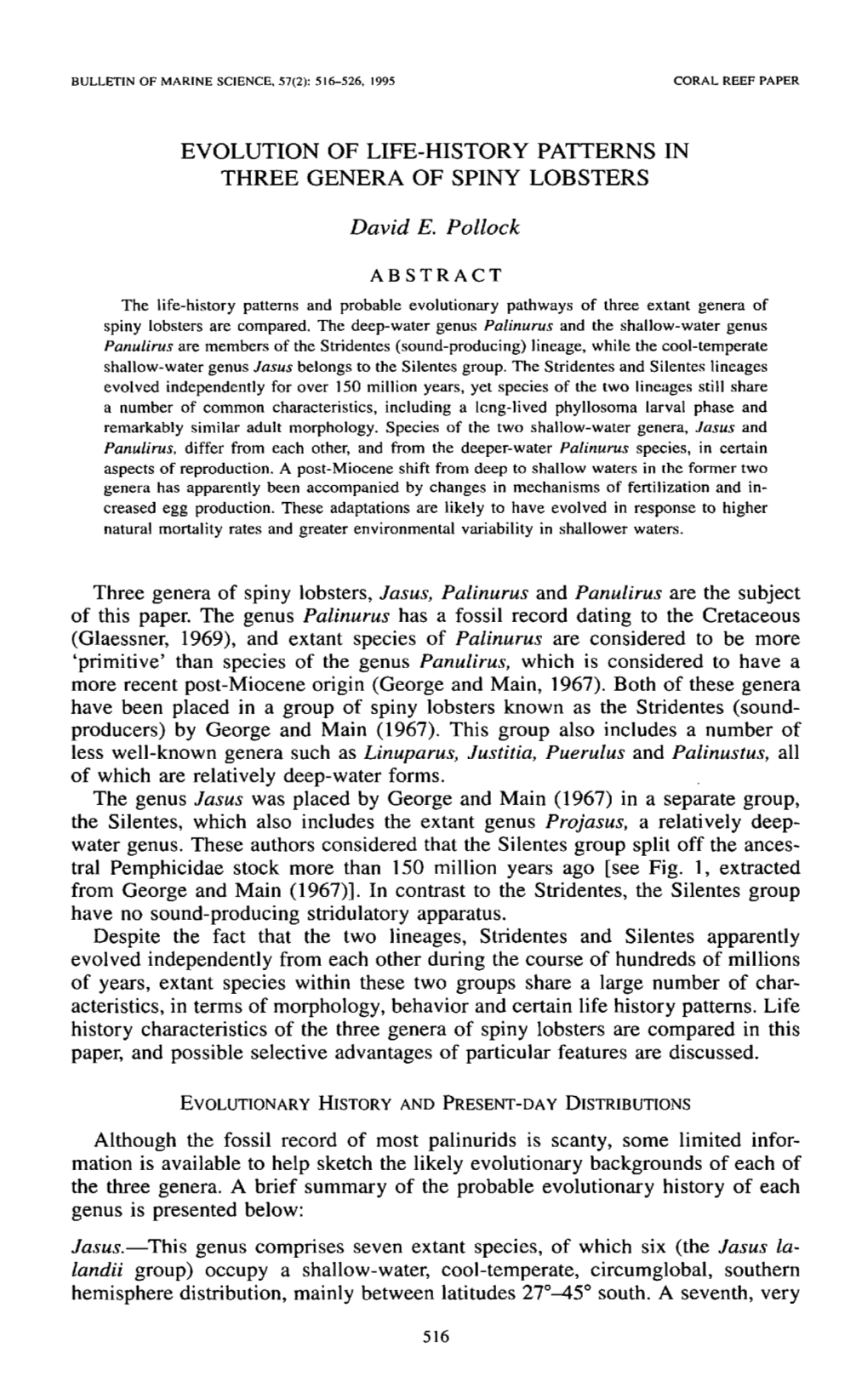 Evolution of Life-History Patterns in Three Genera of Spiny Lobsters