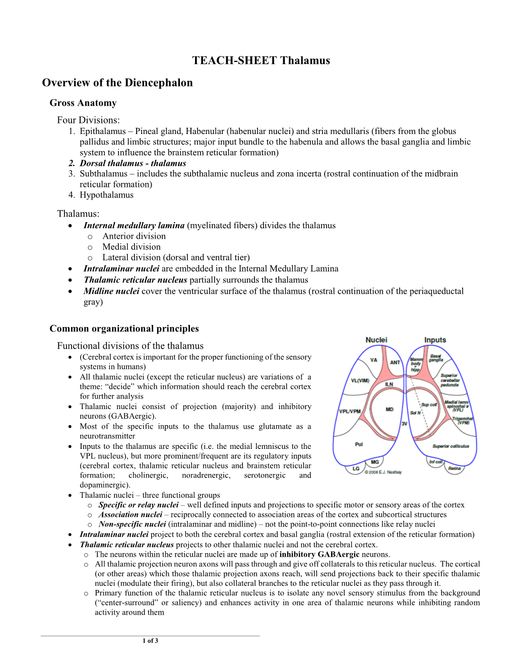 Overview of the Reticular Formation (RF)