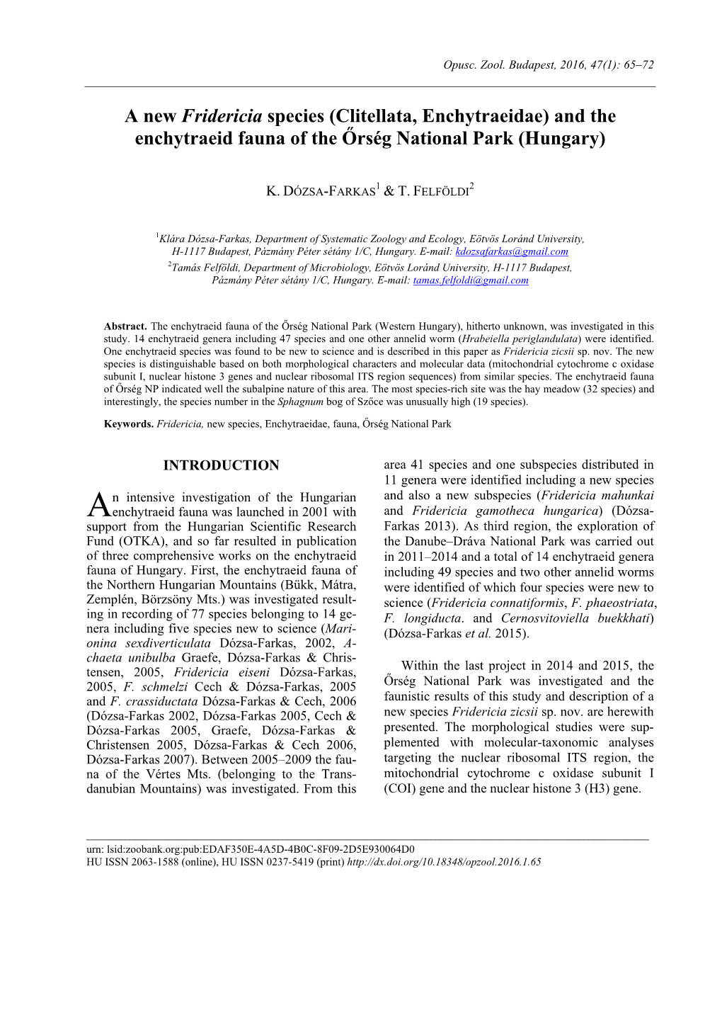 A New Fridericia Species (Clitellata, Enchytraeidae) and the Enchytraeid Fauna of the Őrség National Park (Hungary)