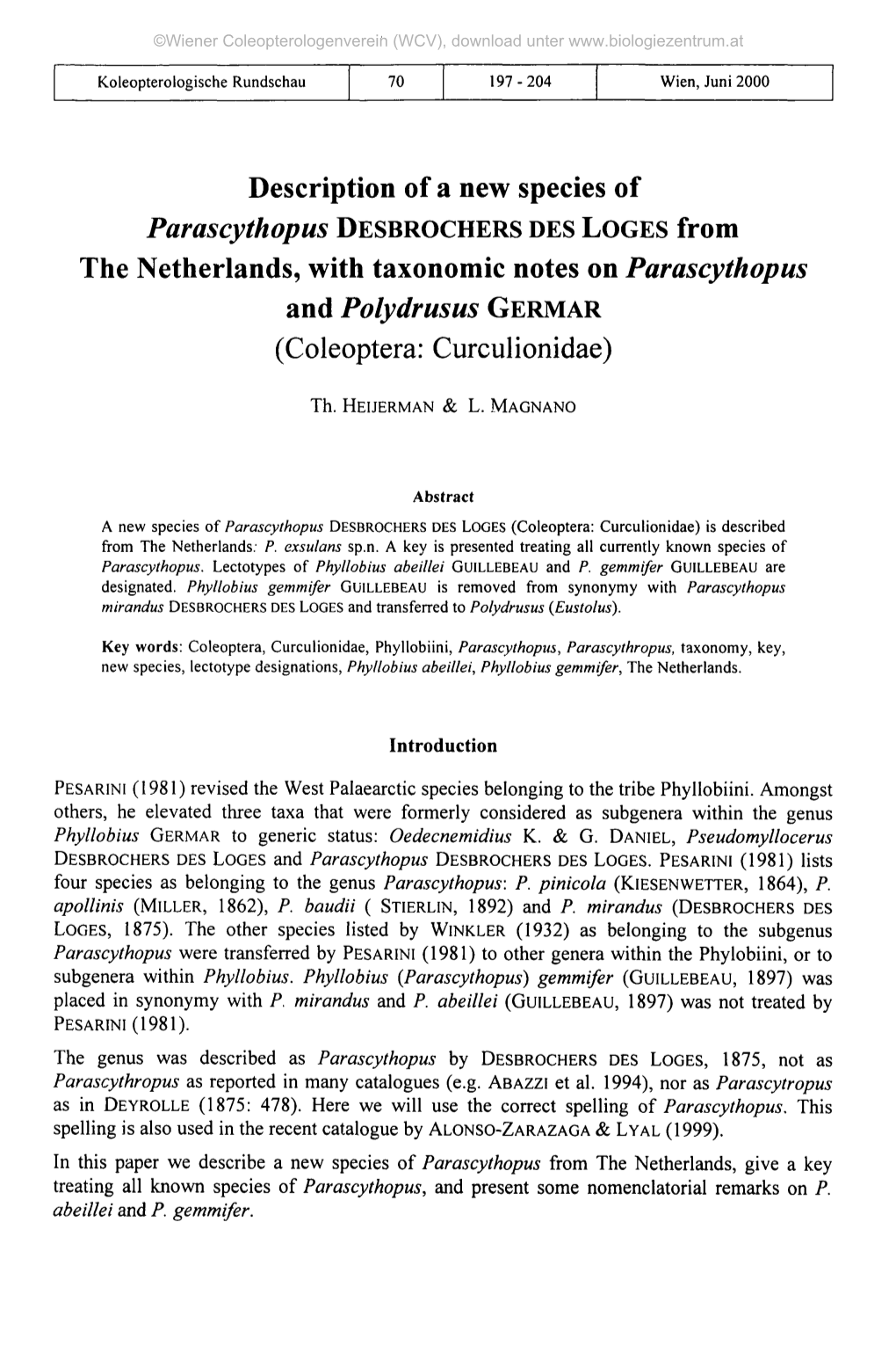 Description of a New Species of the Netherlands, with Taxonomic Notes on Parascythopus and Polydrusus GERMAR