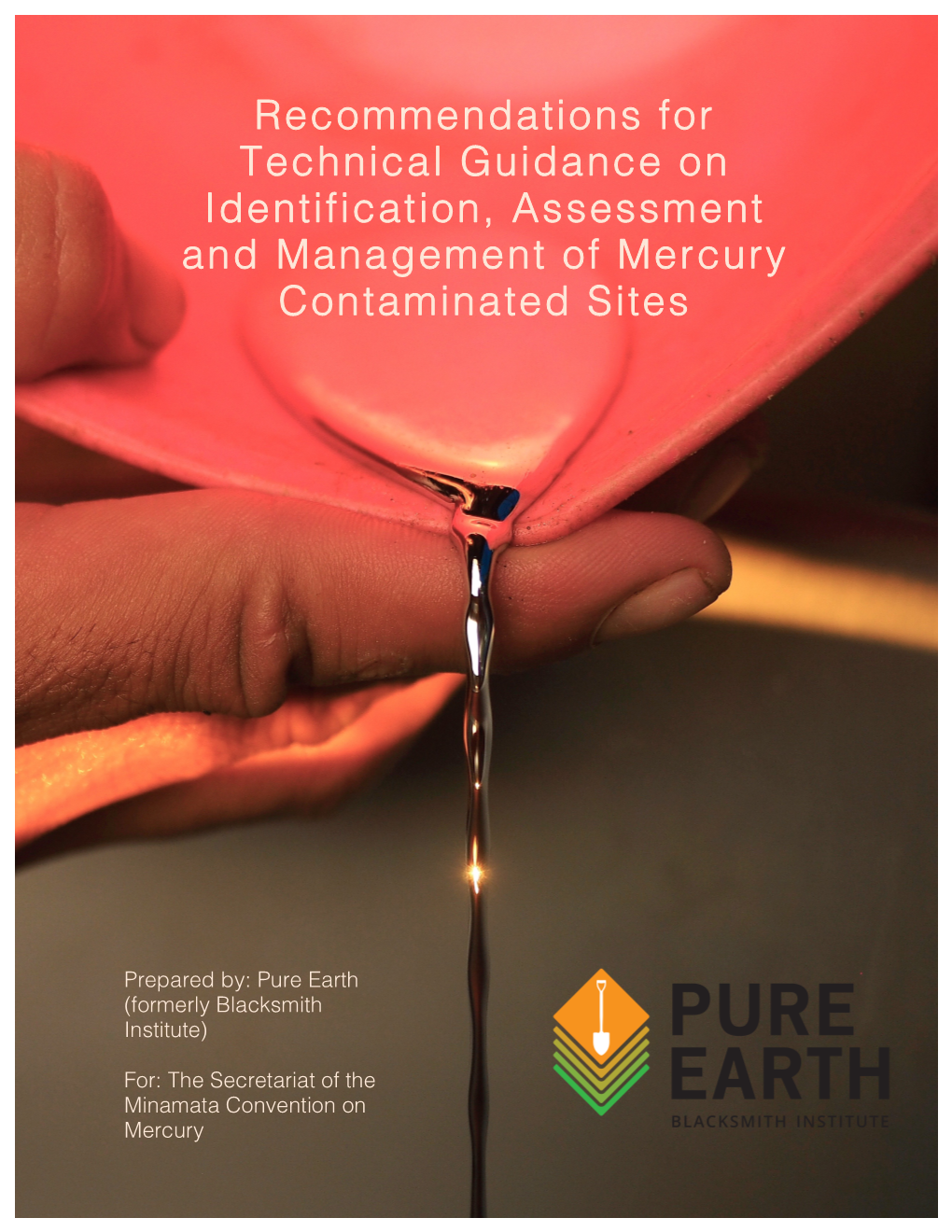 Pure Earth Technical Guidance on Mercury-Contaminated Sites .Pdf