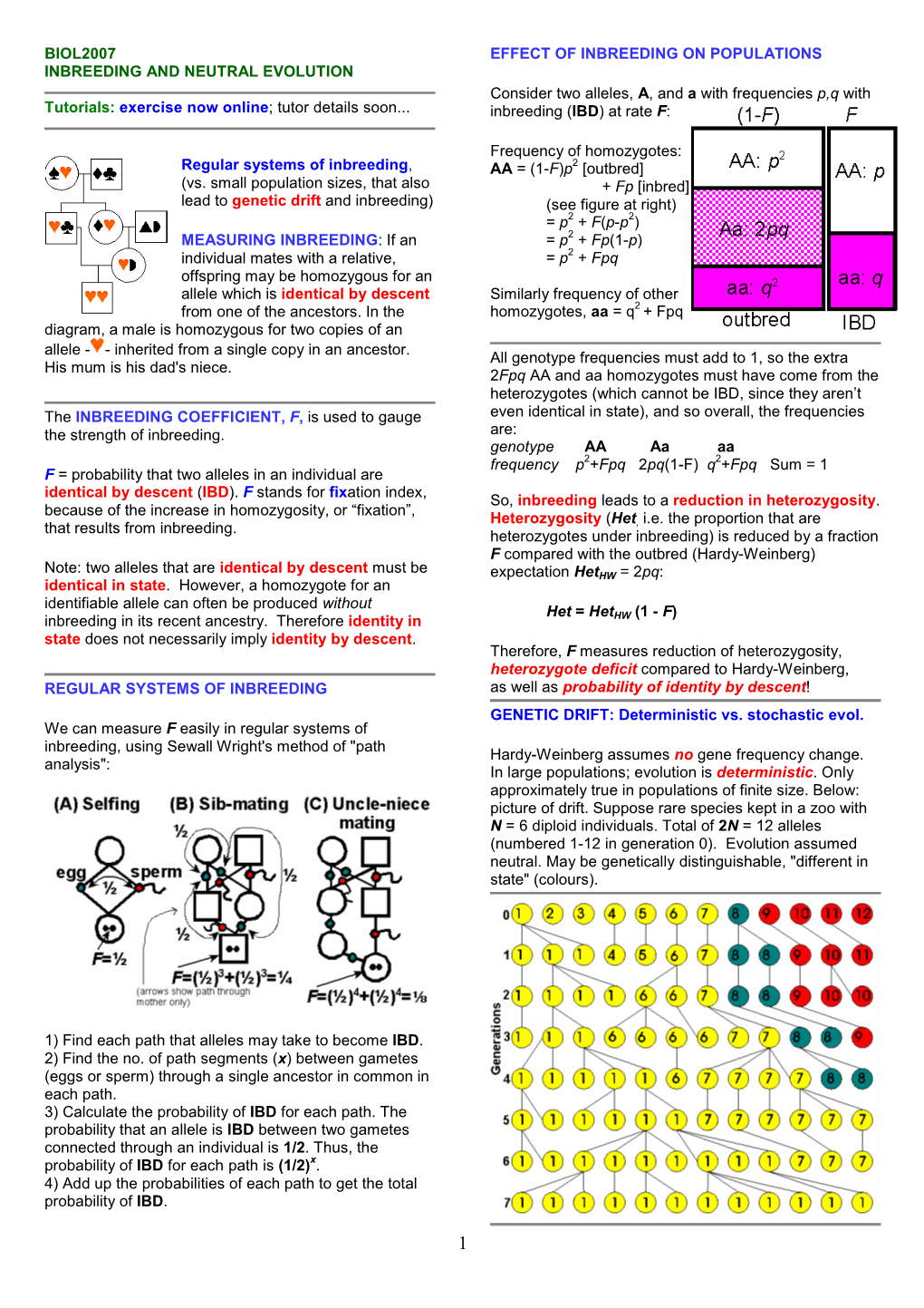 BIOL2007 Lecture Notes