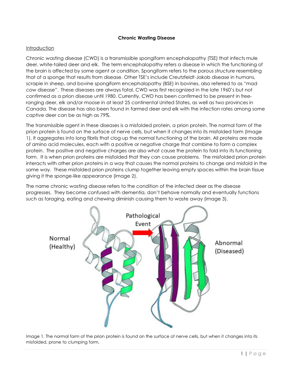 Is a Transmissible Spongiform Encephalopathy (TSE) That Infects Mule Deer, White-Tailed Deer and Elk