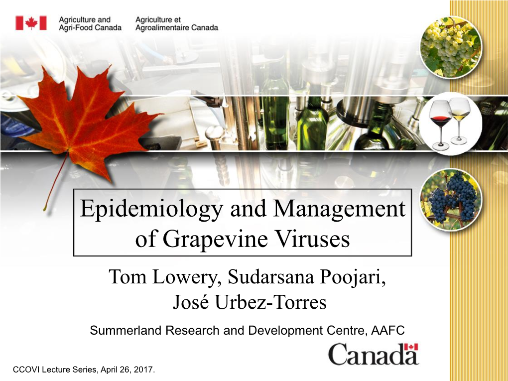 Epidemiology and Management of Grapevine Viruses Tom Lowery, Sudarsana Poojari, José Urbez-Torres