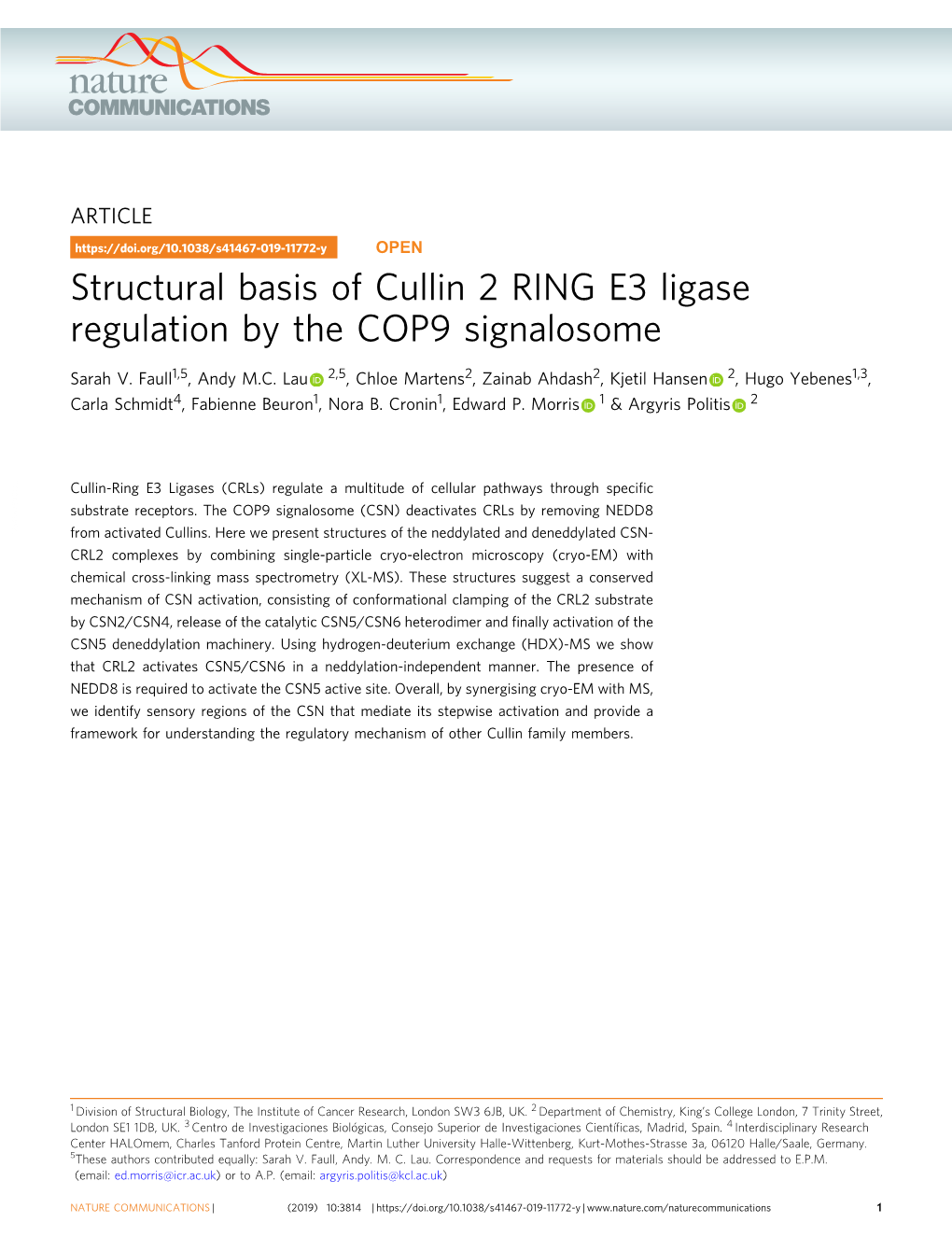 Structural Basis of Cullin 2 RING E3 Ligase Regulation by the COP9 Signalosome