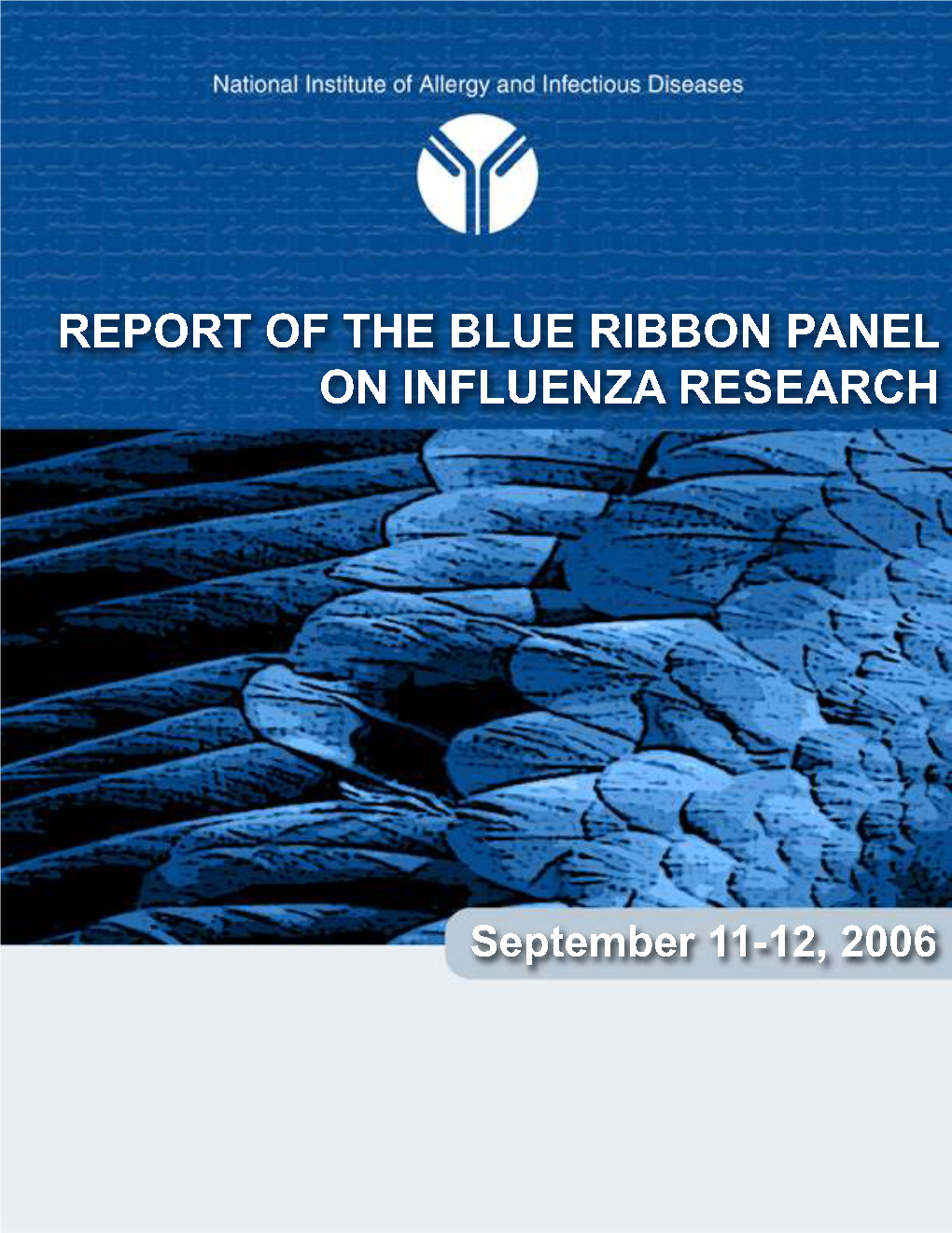 Report of the Blue Ribbon Panel on Influenza Research