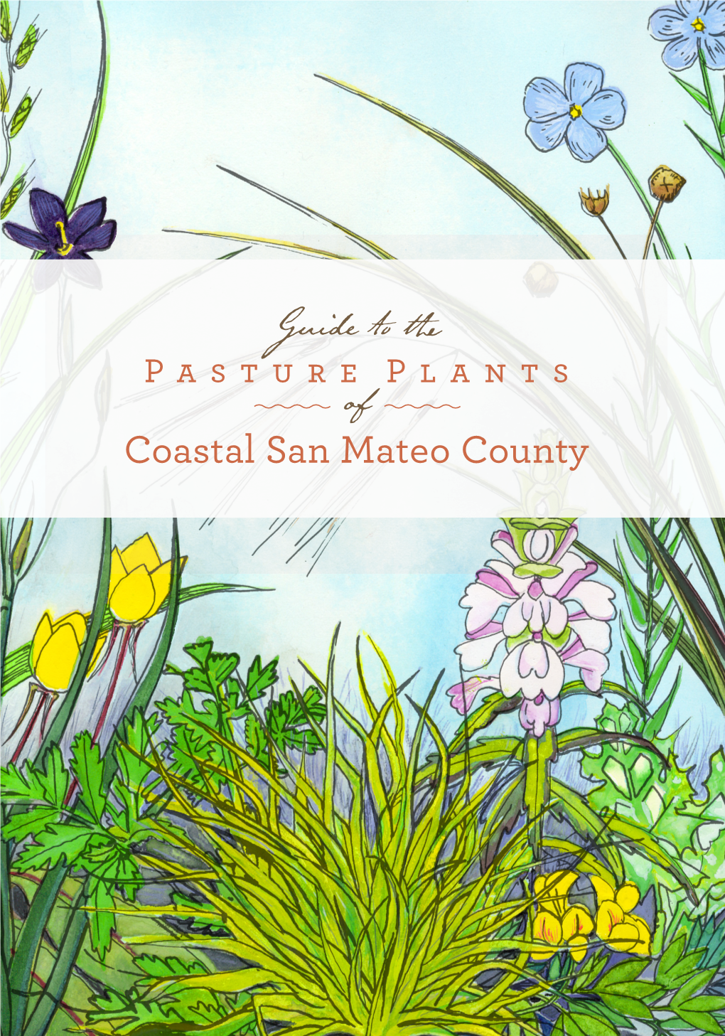 Guide to the Pasture Plants of Coastal San Mateo County Pasture Plant Guide | 2 Guide to Thepasture Plants of Coastal San Mateo County