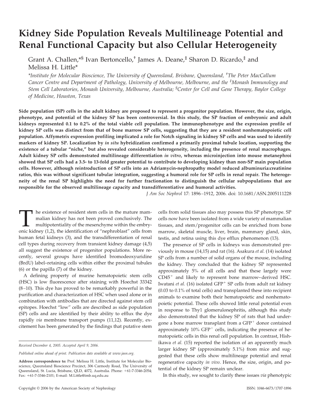 Kidney Side Population Reveals Multilineage Potential and Renal Functional Capacity but Also Cellular Heterogeneity