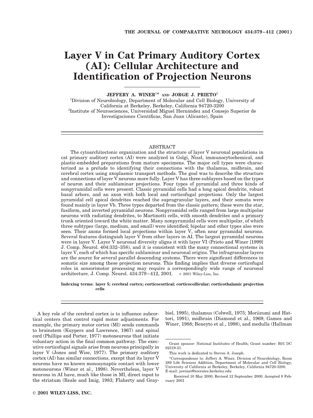 Layer V in Cat Primary Auditory Cortex (AI): Cellular Architecture and Identiﬁcation of Projection Neurons