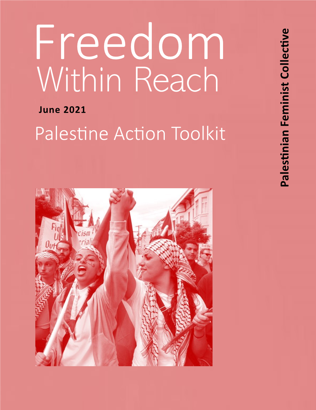 Palestine Action Toolkit Palestinianfeminist Collective