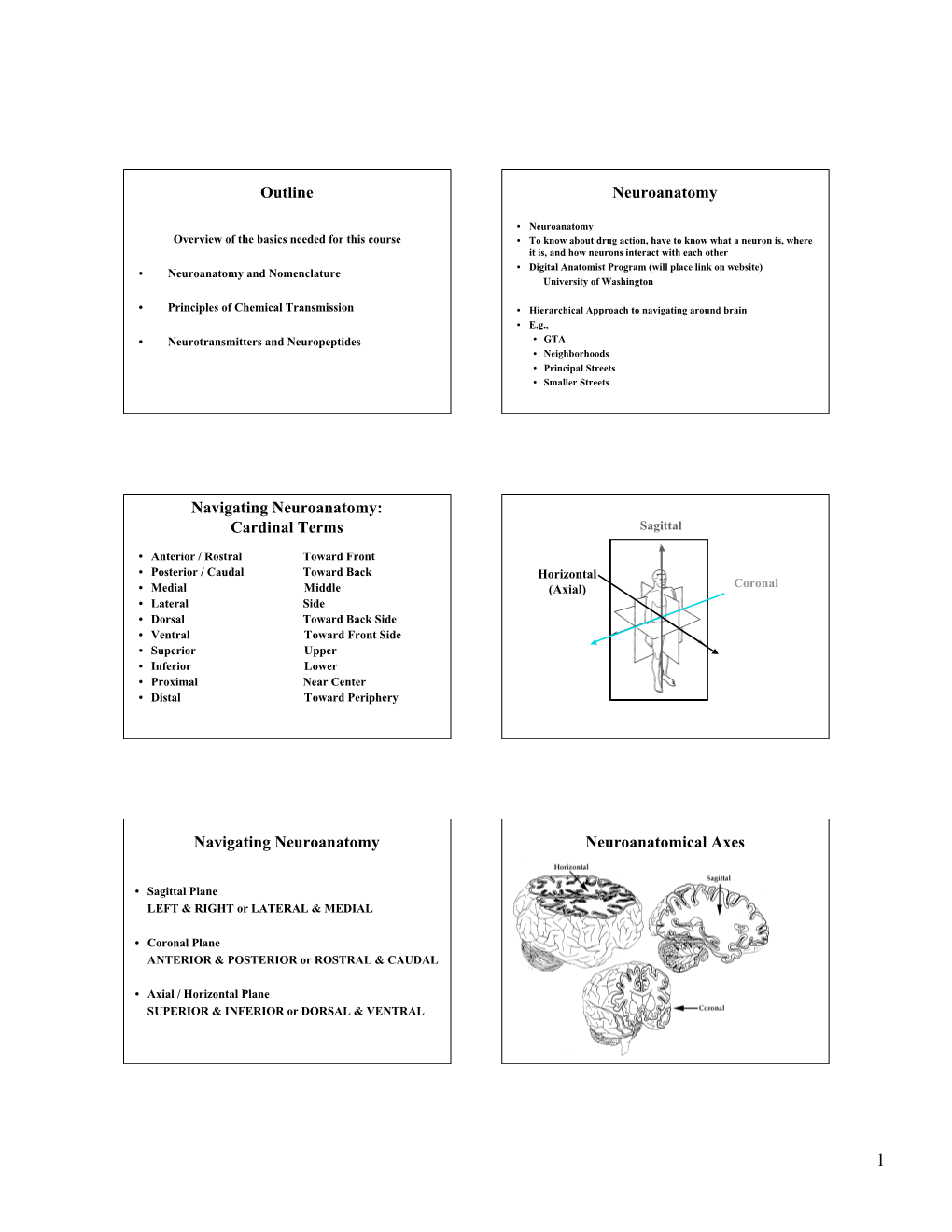 Cardinal Terms Navigating Neuroanatomy Neuroanatomical