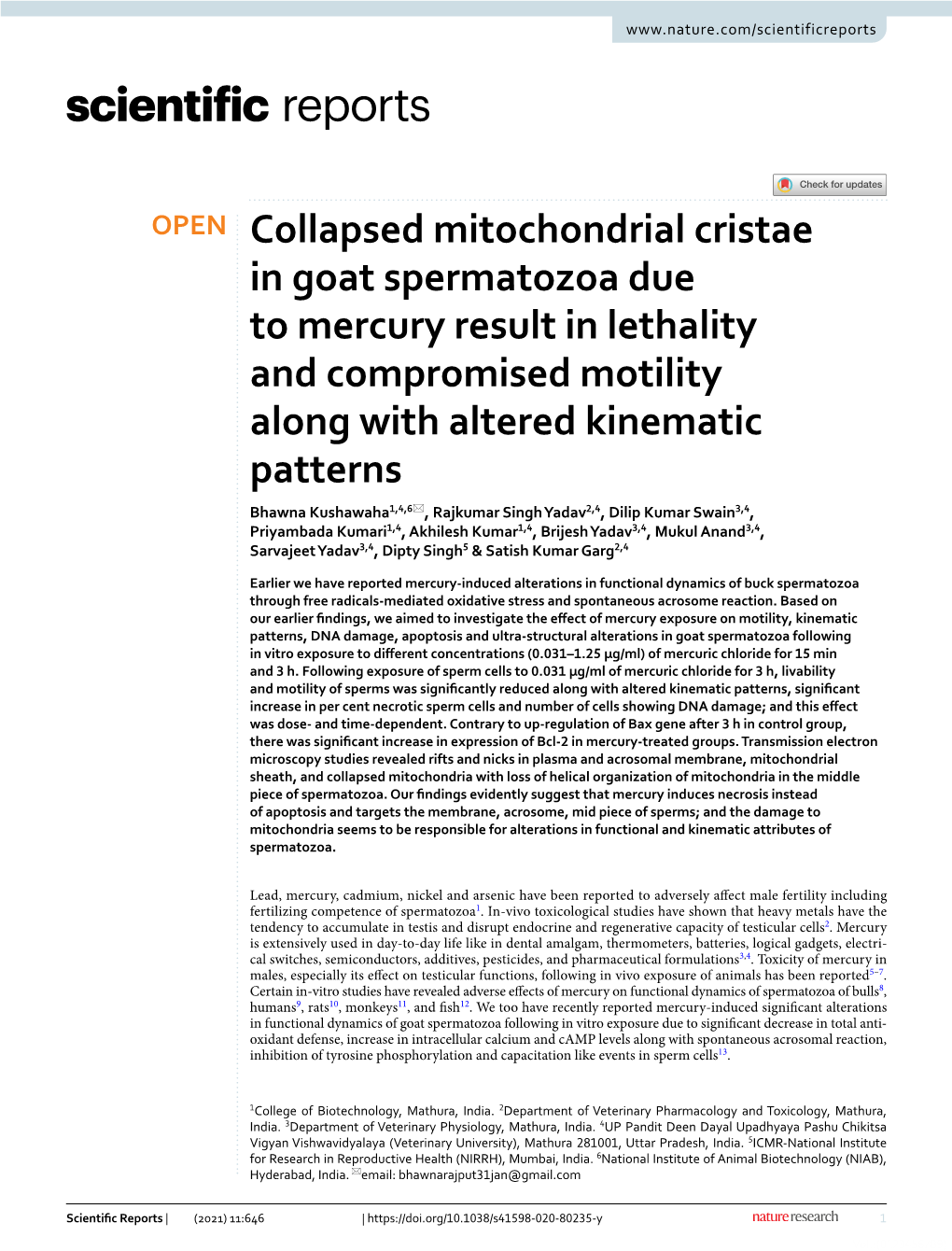 Collapsed Mitochondrial Cristae in Goat Spermatozoa Due to Mercury