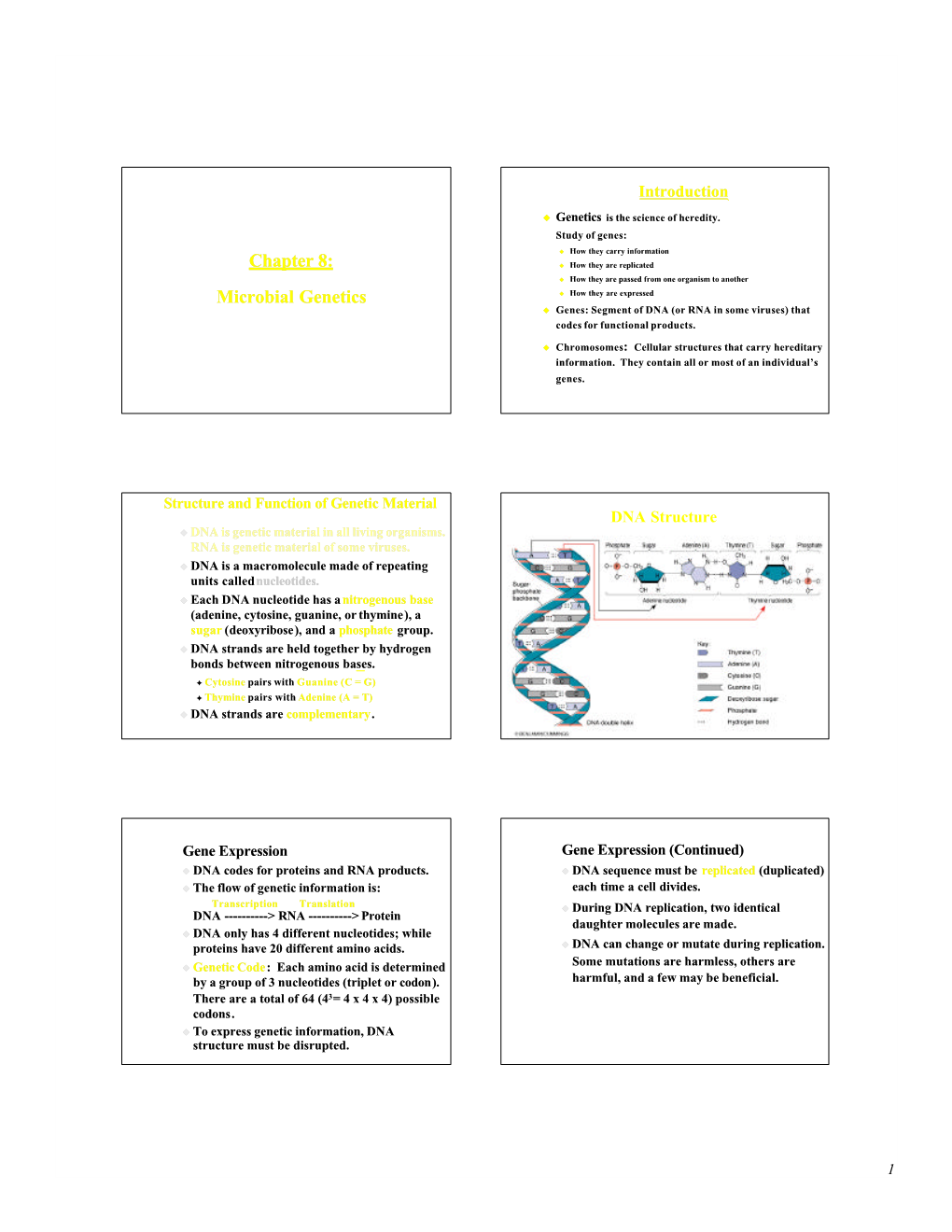 Chapter 8: Microbial Genetics