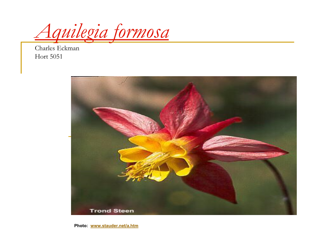 Aquilegia Formosa Charles Eckman.Pdf