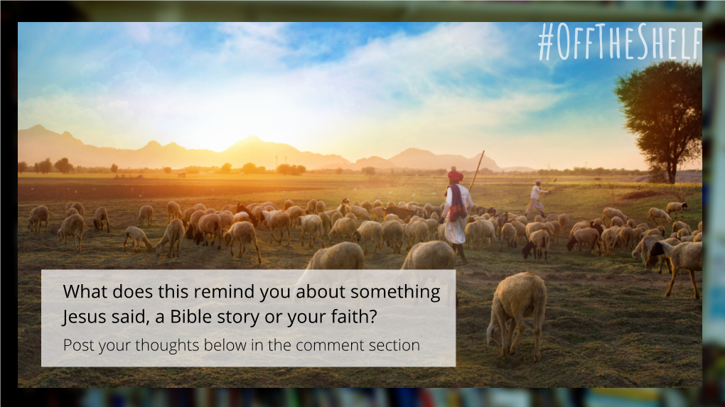 What Does This Remind You About Something Jesus Said, a Bible Story Or Your Faith? Post Your Thoughts Below in the Comment Section Key Questions: Think About