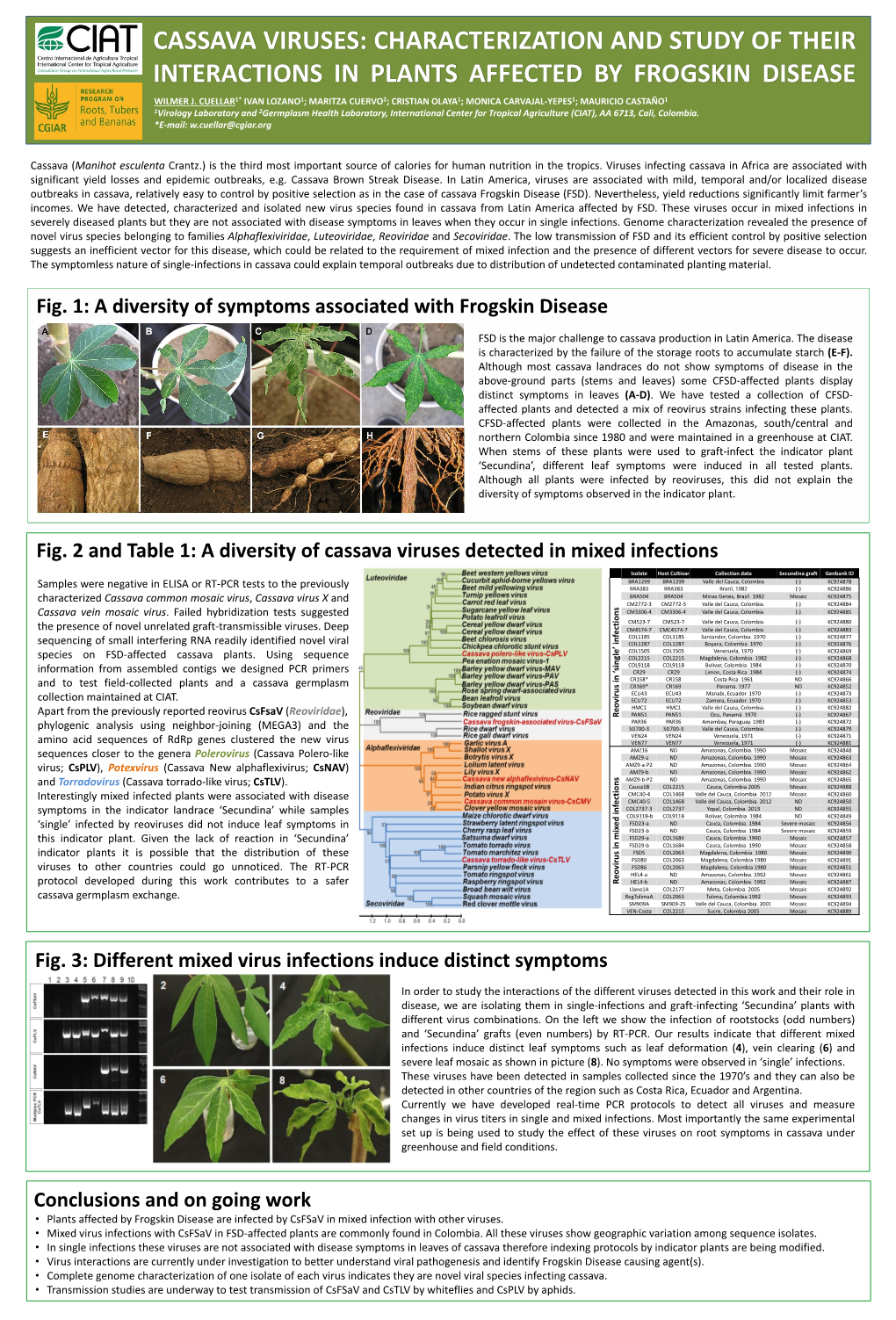 Cassava Viruses: Characterization and Study of Their Interactions in Plants Affected by Frogskin Disease