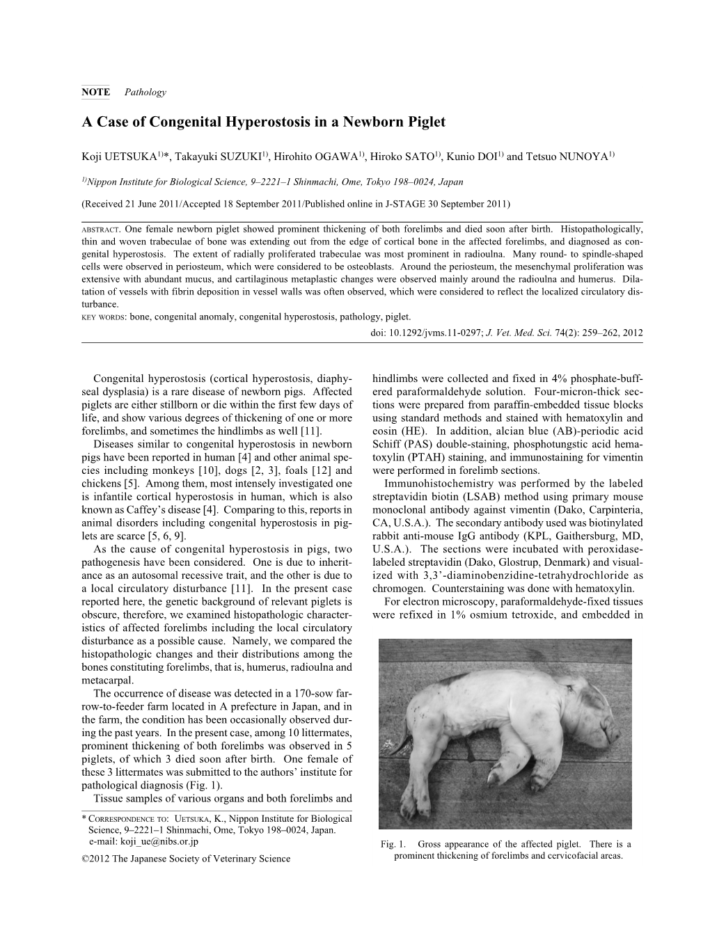 A Case of Congenital Hyperostosis in a Newborn Piglet