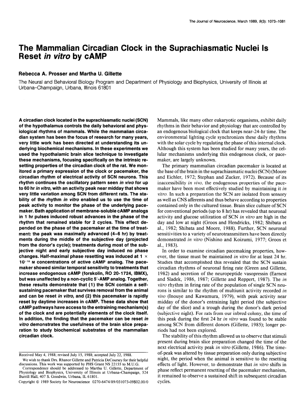 The Mammalian Circadian Clock in the Suprachiasmatic Nuclei Is Reset in Vitro by CAMP