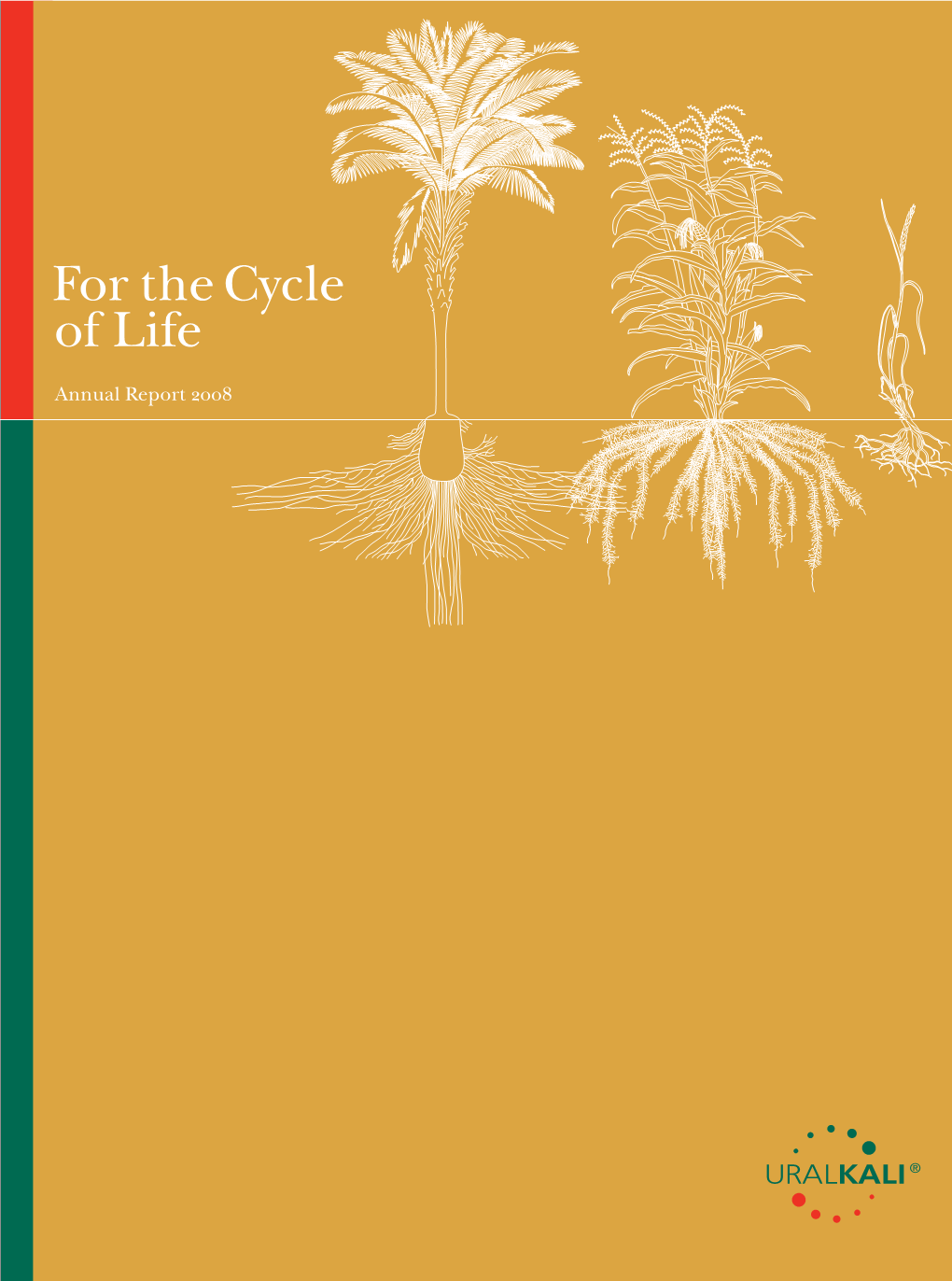 Annual Report 2008 for the Cycle of Life Annual Report 2008