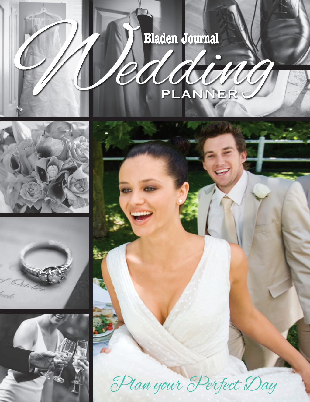 Plan Your Perfect Day 2 2015 Wedding Planner 00742064 Twelve to Six Months ENGAGEMENT ANNOUNCEMENT