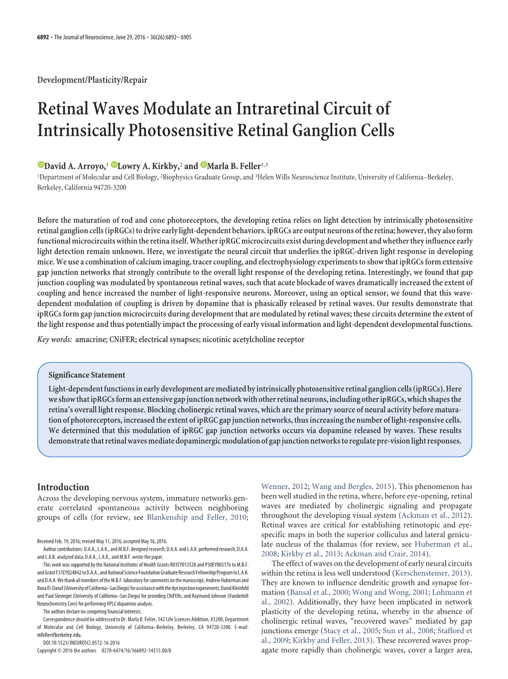 Retinal Waves Modulate an Intraretinal Circuit of Intrinsically Photosensitive Retinal Ganglion Cells