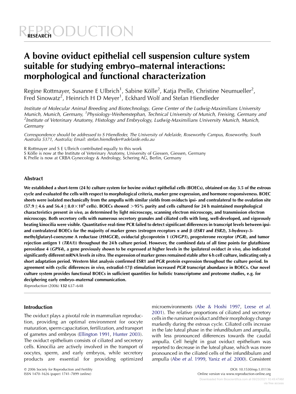 A Bovine Oviduct Epithelial Cell Suspension Culture System Suitable for Studying Embryo–Maternal Interactions: Morphological and Functional Characterization