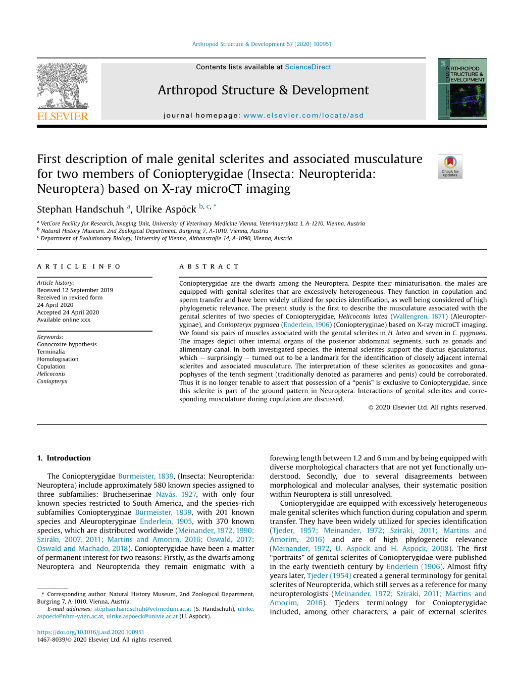 Insecta: Neuropterida: Neuroptera) Based on X-Ray Microct Imaging