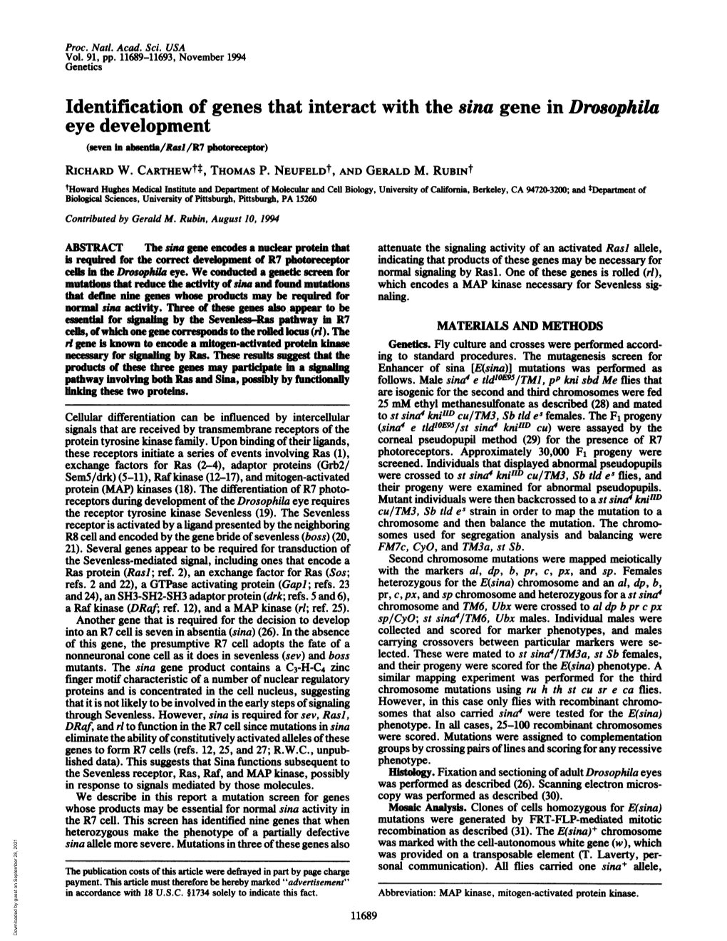 Eye Development (Seven in Absenta/Rasl/R7 Photecepr) RICHARD W