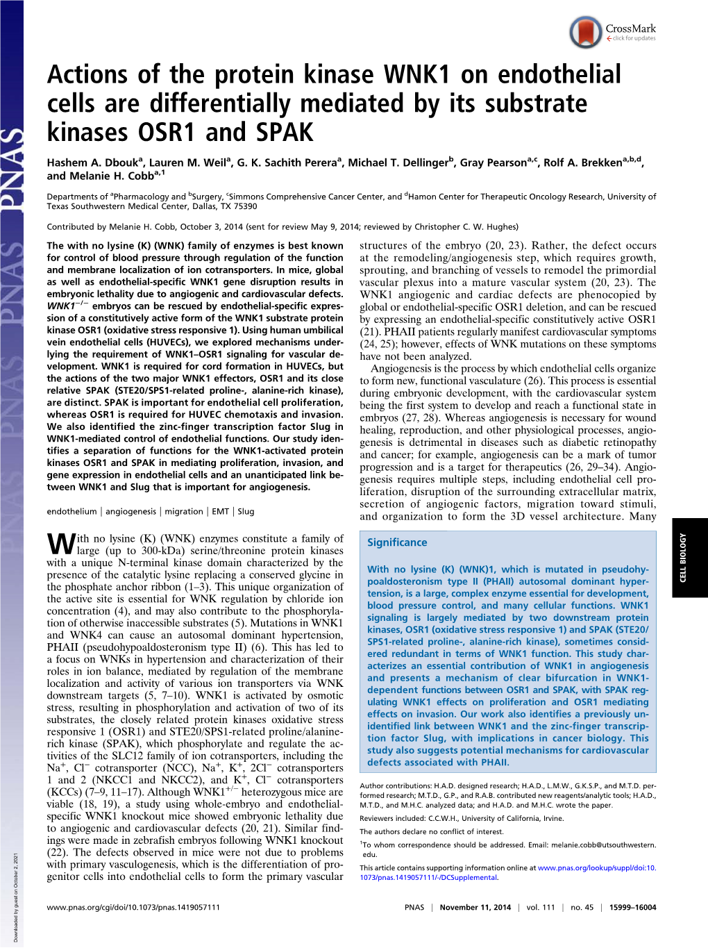 Actions of the Protein Kinase WNK1 on Endothelial Cells Are Differentially Mediated by Its Substrate Kinases OSR1 and SPAK