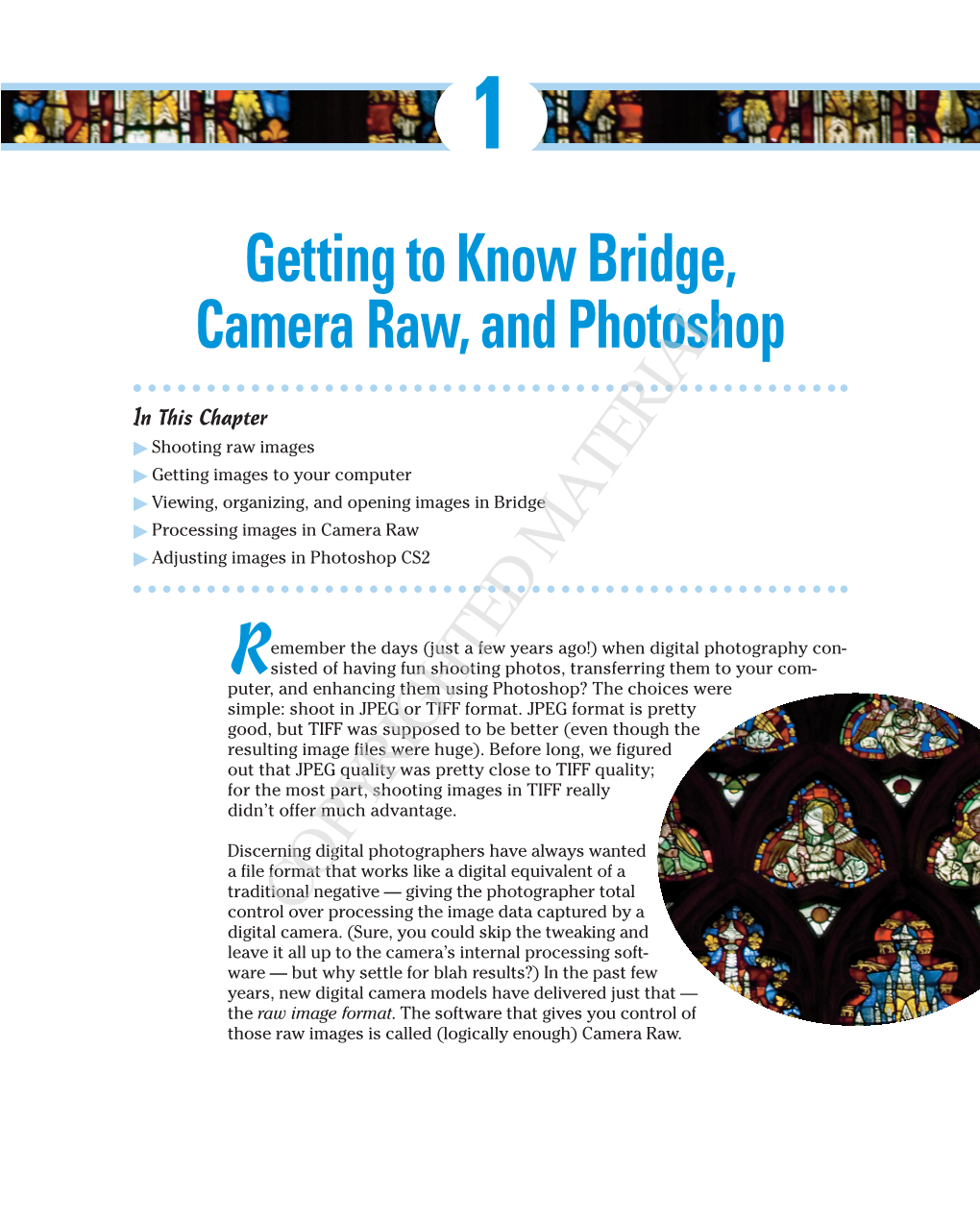 Getting to Know Bridge, Camera Raw, and Photoshop