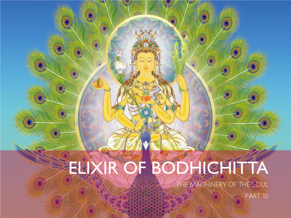 Elixir of Bodhichitta the Machinery of the Soul Part 10 Motivations for Spiritual Work
