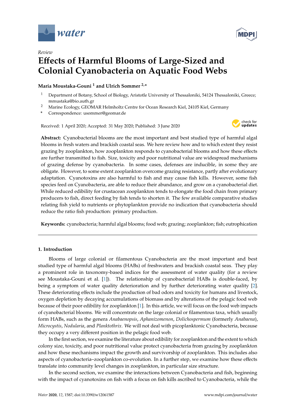 Effects of Harmful Blooms of Large-Sized and Colonial