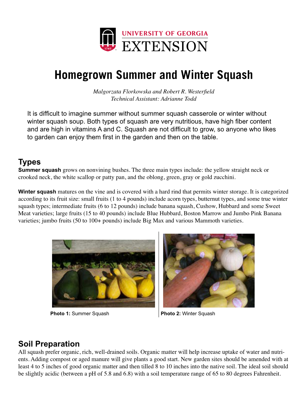 Homegrown Summer and Winter Squash