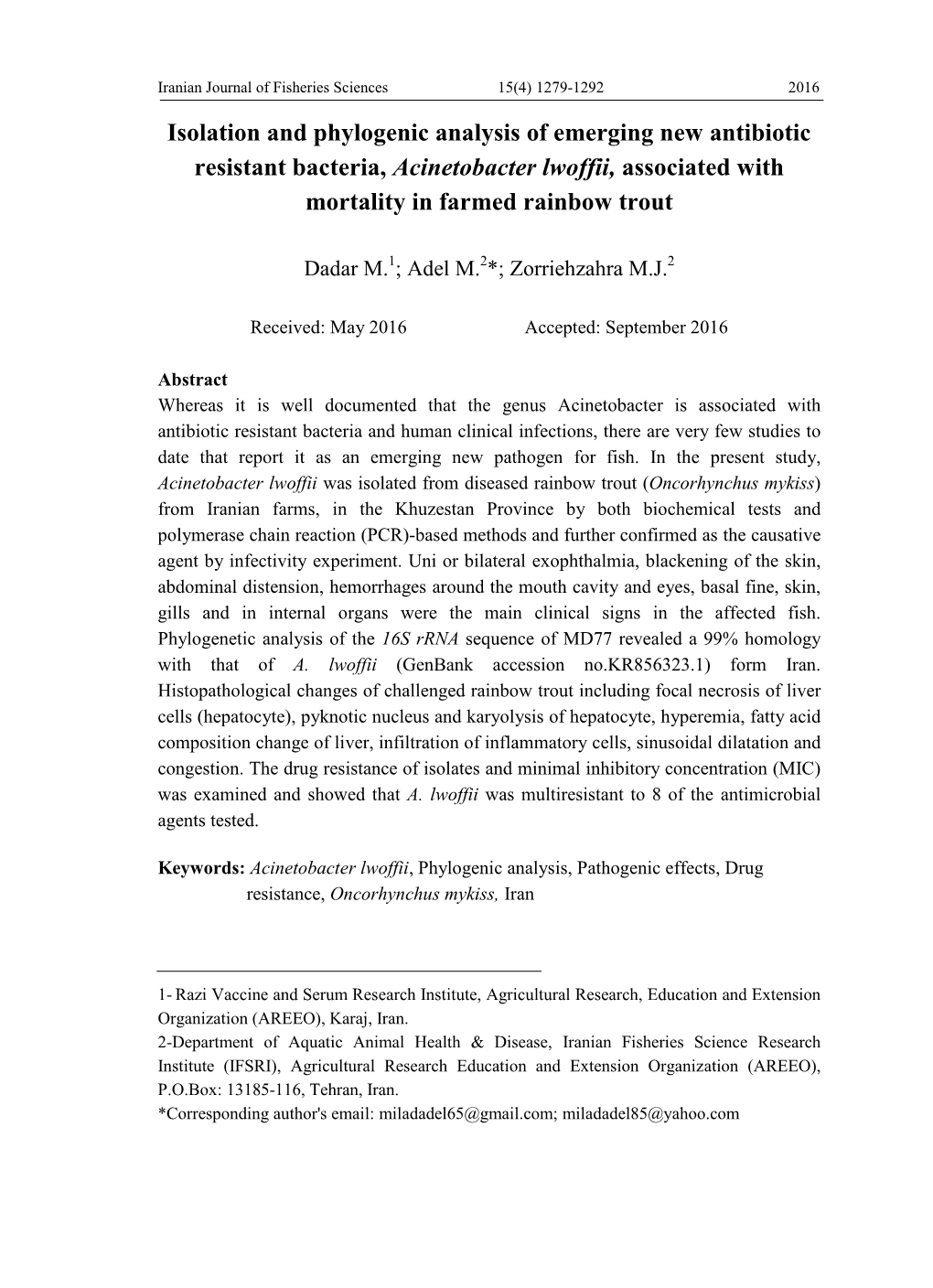 Isolation and Phylogenic Analysis of Emerging New Antibiotic Resistant Bacteria, Acinetobacter Lwoffii, Associated with Mortality in Farmed Rainbow Trout