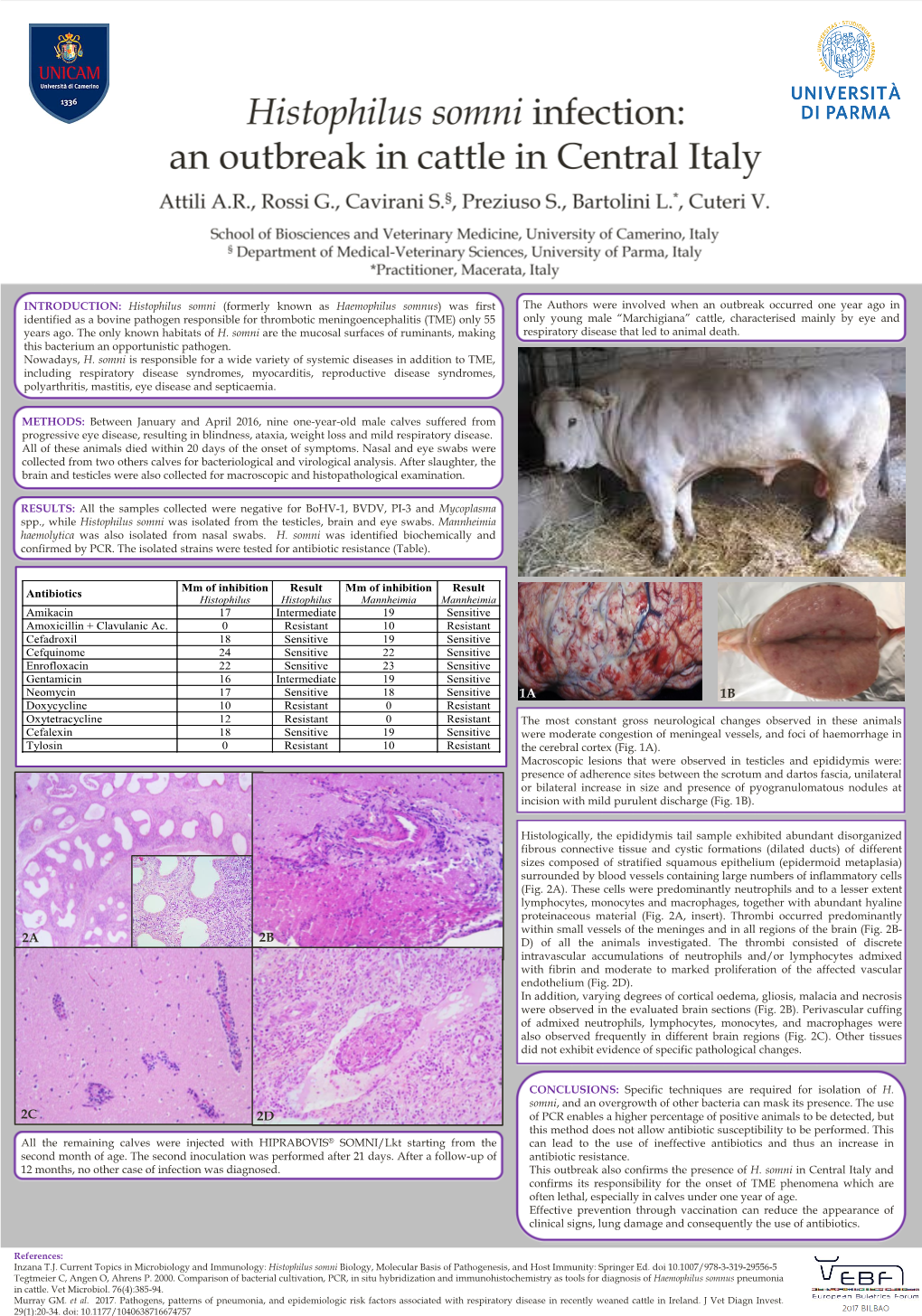 An Outbreack of Histophilus Somni Infection in Cattle in Central Italy