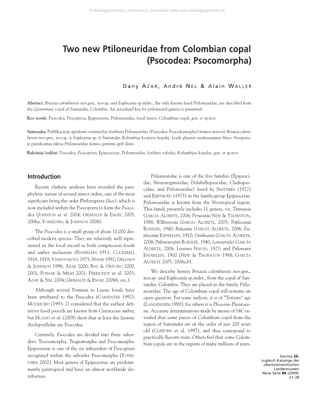 Two New Ptiloneuridae from Colombian Copal (Psocodea: Psocomorpha)