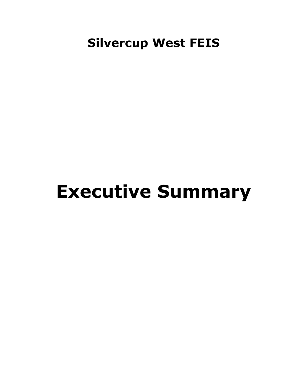 Executive Summary