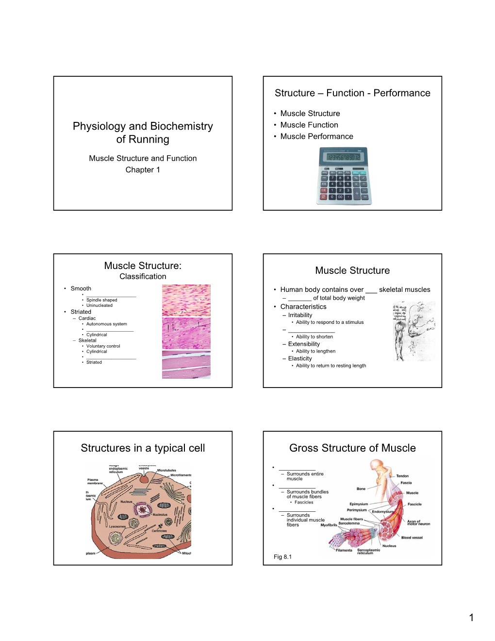 Physiology and Biochemistry of Running