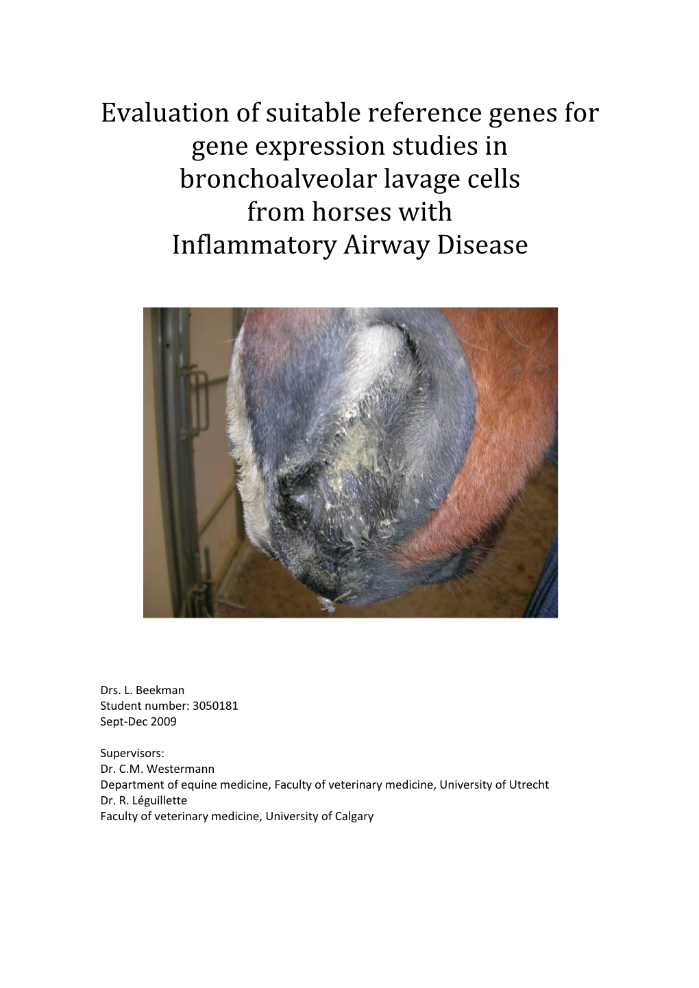Evaluation of Suitable Reference Genes for Gene Expression Studies in Bronchoalveolar Lavage Cells from Horses with Inflammatory Airway Disease