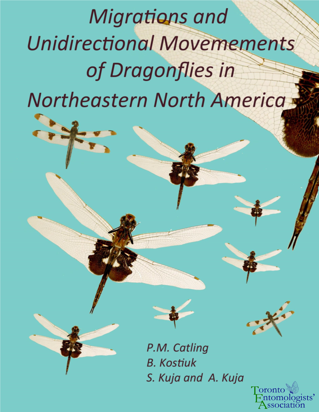Migrations and Unidirectional Movements of Dragonflies in Northeastern North America
