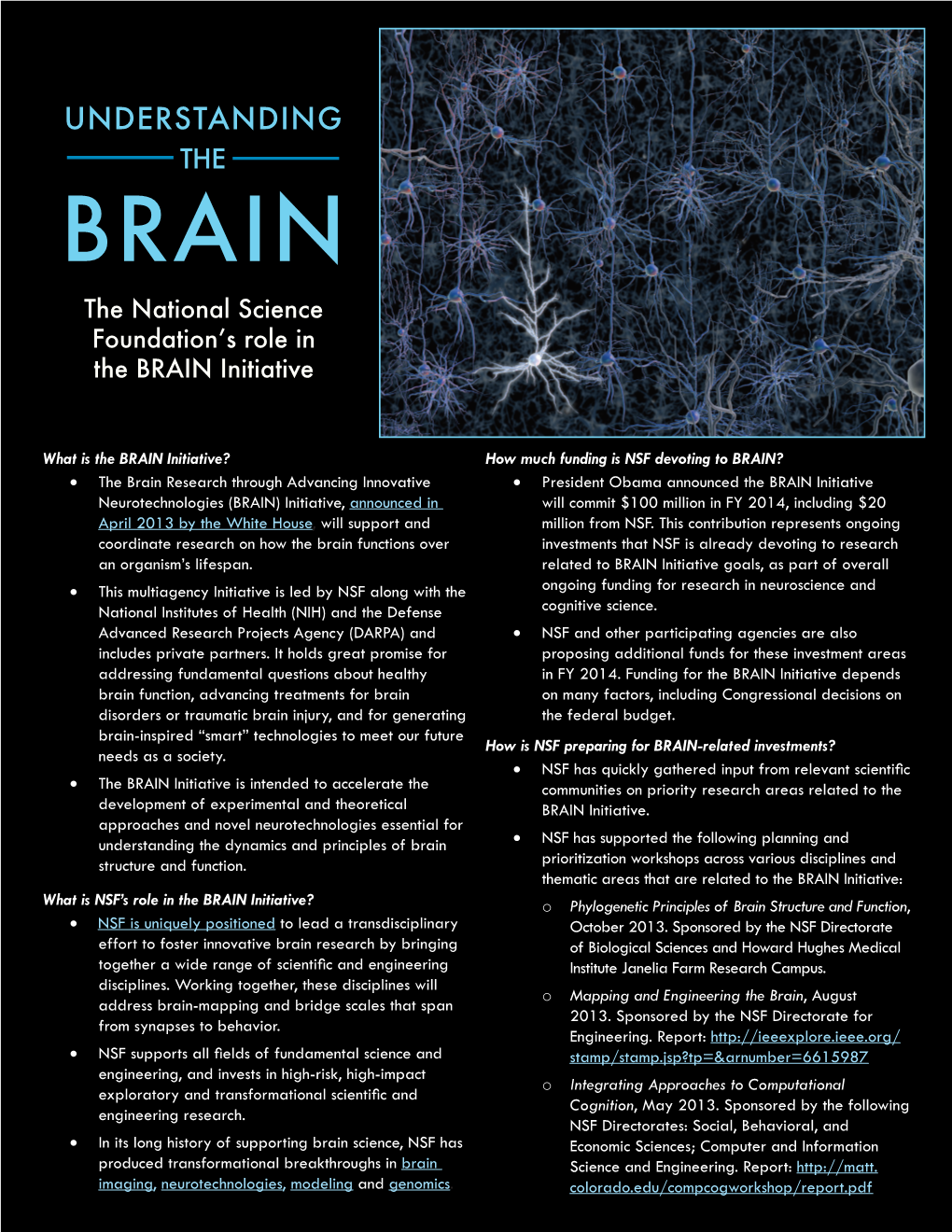 UNDERSTANDING the BRAIN the National Science Foundation’S Role in the BRAIN Initiative