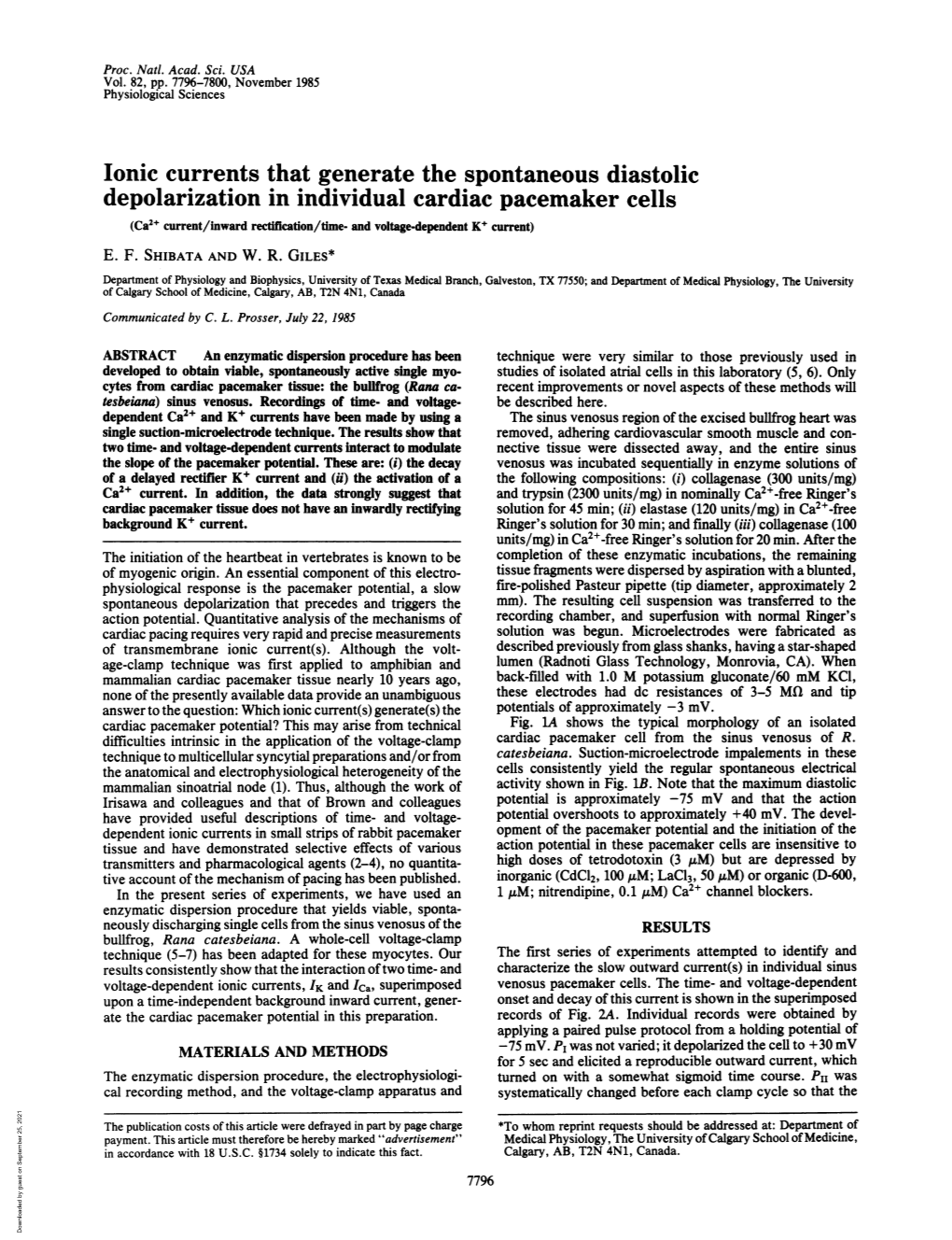 Ionic Currents That Generate the Spontaneous Diastolic Depolarization in Individual Cardiac Pacemaker Cells