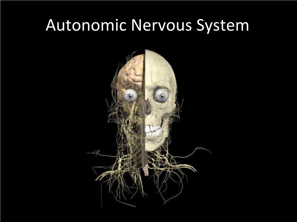 Autonomic Nervous System Autonomic Nervous System