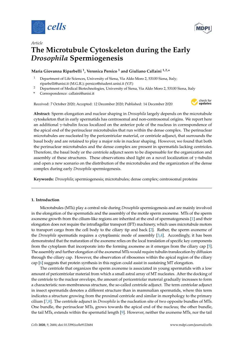 The Microtubule Cytoskeleton During the Early Drosophila Spermiogenesis