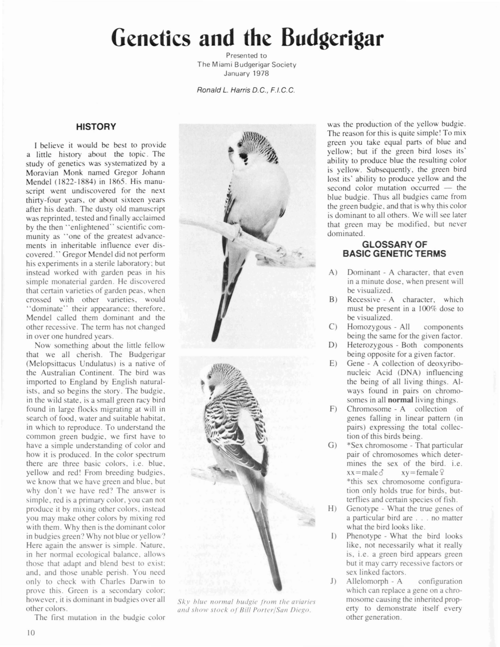 Genetics and the Budgerigar Presented to the Miami Budgerigar Society January 1978