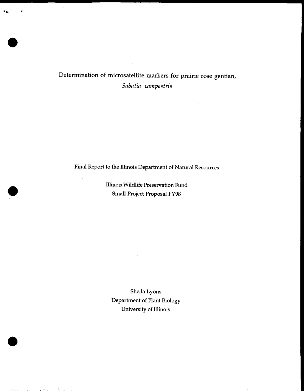 Determination of Microsatellite Markers for Prairie Rose Gentian