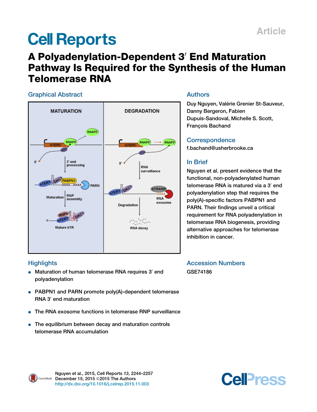 A Polyadenylation-Dependent 3&Prime; End
